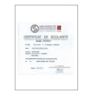 TRADUCTION ATTESTATION DE SCOLARITÉ